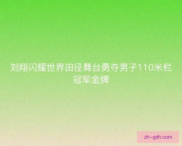 刘翔闪耀世界田径舞台勇夺男子110米栏冠军金牌